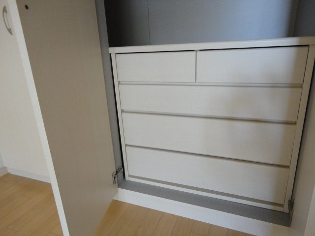 ラッフィナート田園の洋室|洋室収納