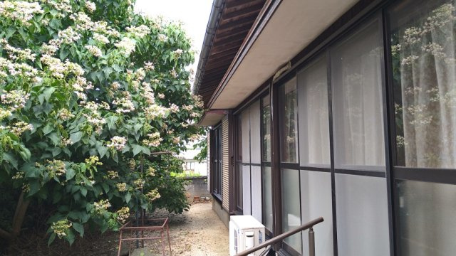 【外観】 | 柳井・大屋