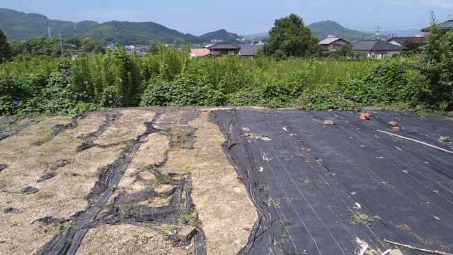 【周辺】 | 柳井・大屋