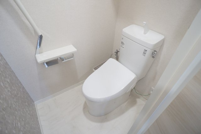 フレグランス宝塚Ⅰ・Ⅱ・Ⅲのトイレ