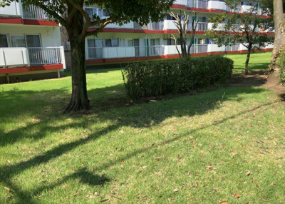 【中庭】 | 鹿島団地３　２号棟 | 中庭（パティオ）とは、一つの建築物の内部に設けられた、壁などで囲われている庭のことを指します。コの字型、ロの字型が主流ですが、L字型の中庭もあります。最近では、インテリア性の高さからも人気があります。