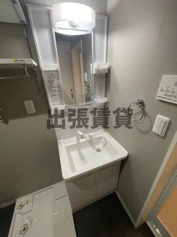 仲介手数料0円！！BLUE　GOAT　Ⅱの洗面所