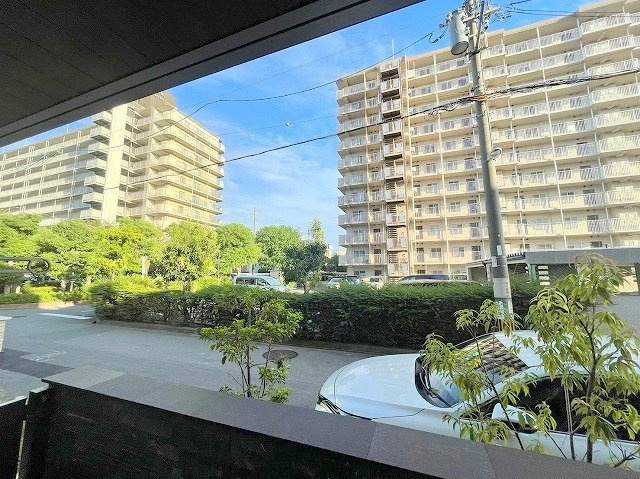 フォーマルハウト新高の展望