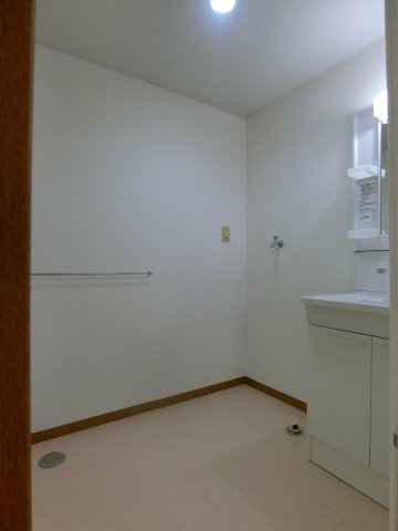 スカイマンションAの洗面所