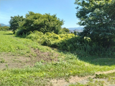 【外観】 | 辰野町伊那富 売地④ | 外観