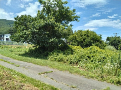 【外観】 | 辰野町伊那富 売地④ | 外観