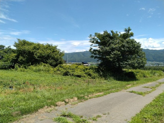 【外観】 | 辰野町伊那富 売地④ | 外観と前面道路