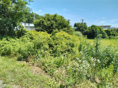 【外観】 | 辰野町伊那富 売地④ | 外観