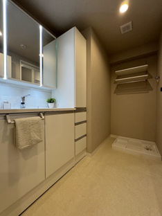 【独立洗面台】コープ野村リバーサイド三条 