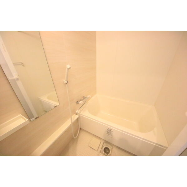 パークフラッツ新栄の浴室