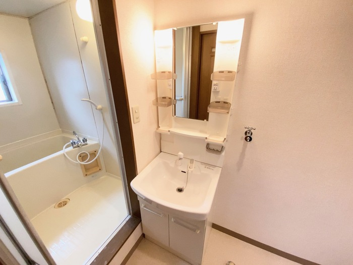 熊本市南区野口１丁目のアパートの独立洗面台