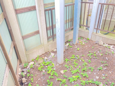 【周辺】 | 筑西市横島62坪