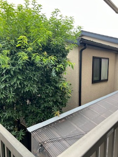 緑があって気持ちの良い眺望です。