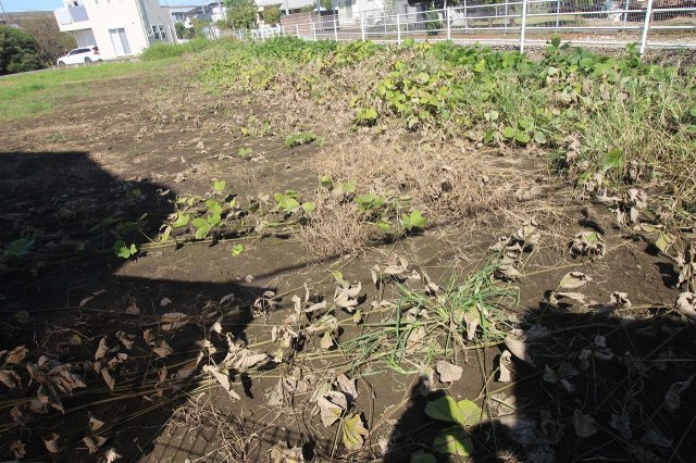 《分譲地》下野市川中子　全3区画の外観