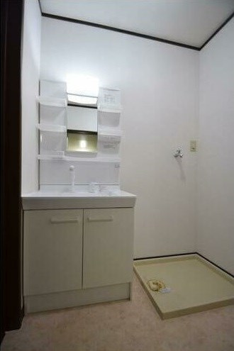 ＥＶＥＲ ＧＲＥＥＮ ＨＯＵＳＥの洗面所