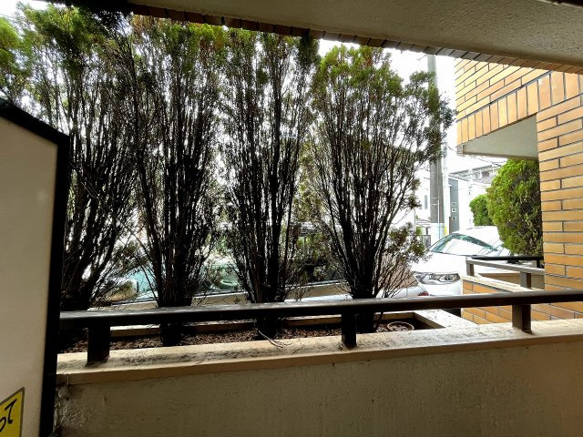 ストーンフィールドNo.５の展望