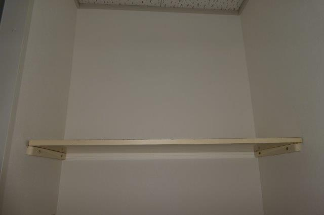 プレジール城の内ⅡＡの収納|洗濯機上棚