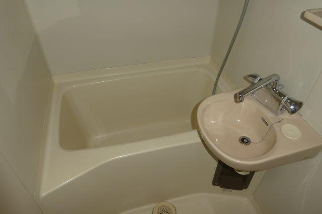 プレジール城の内ⅡＡの浴室