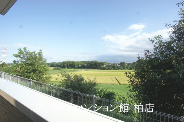 フレスクーラの展望