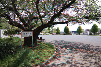 椿森公園まで300ｍ
