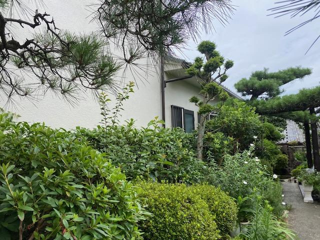 秦町　中古一戸建ての庭|庭
■物件内覧・資金計画相談・住宅ローン相談、リフォーム相談、お問合せ受付中■
※当日・翌日のご内覧、ご相談はお電話でのお問合せがスムーズです！