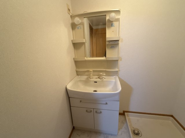 メゾンエレメンツＳの洗面所