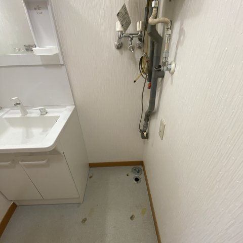 ベルシーヌ緑のその他