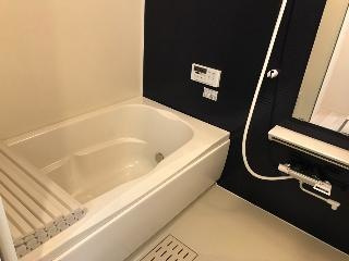 パドレ・レージェ（padure rege）の浴室|追い焚き・浴室乾燥機付きのお風呂です♪