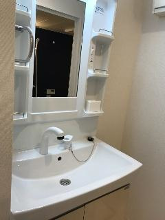 パドレ・レージェ（padure rege）の洗面所|広い洗面スペースです★