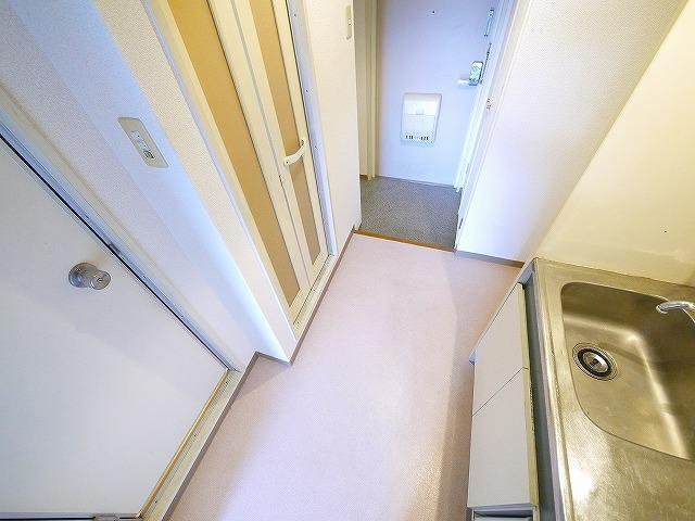 ヴィエンシャトレー小池のその他