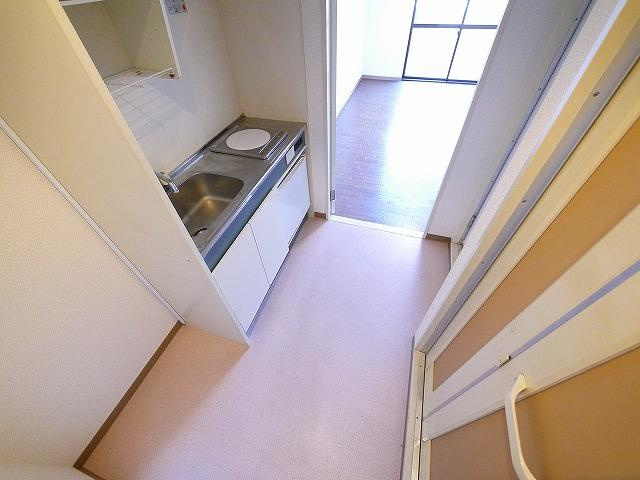 ヴィエンシャトレー小池のその他