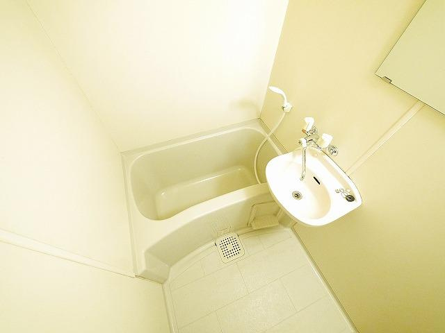 ヴィエンシャトレー小池の浴室