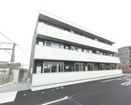 フェリスの画像