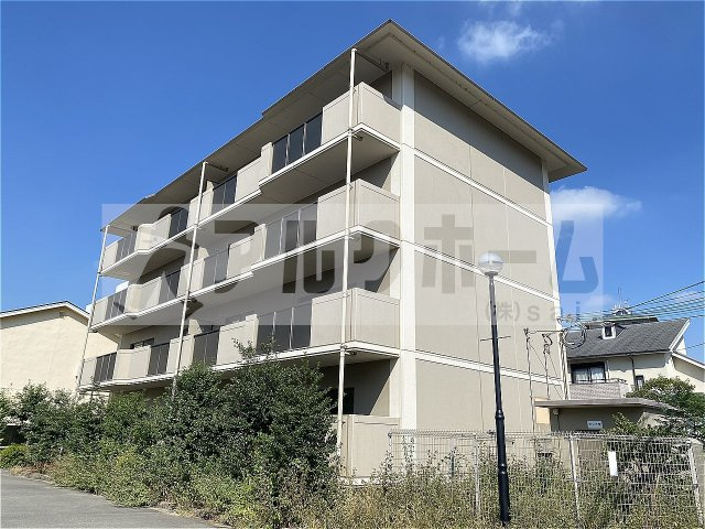 オーシャン柏原