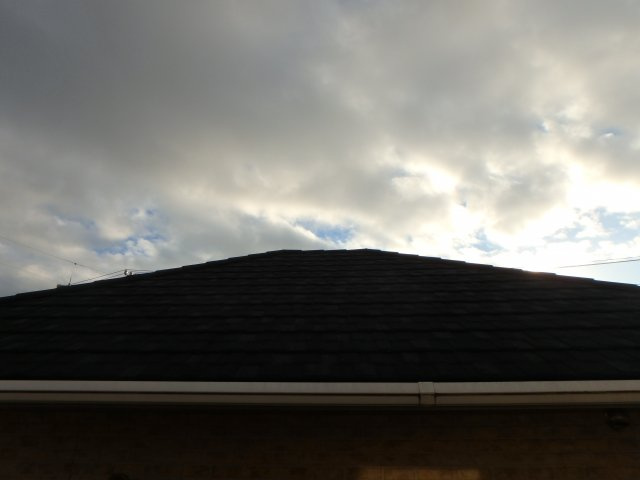 コーポ大信の展望