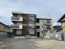 エコーＤＱの画像