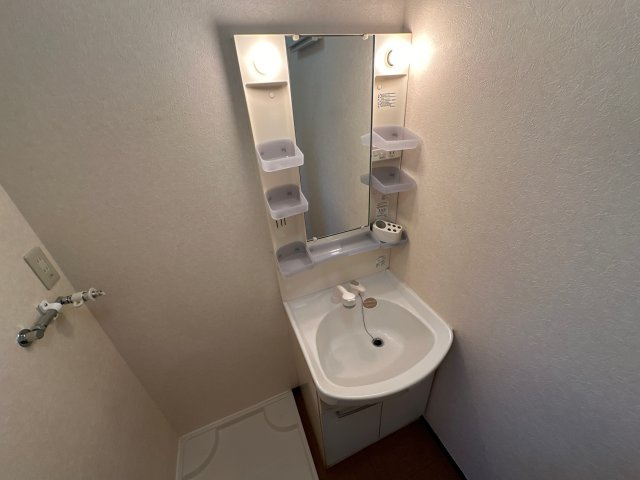 ローズコート雅の洗面所