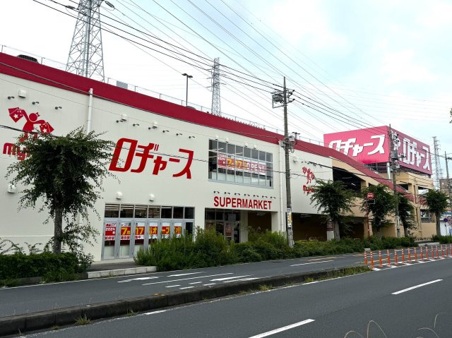 八潮市上番場新築戸建【八幡小学校：６分】の周辺|ロヂャースまで800ｍ