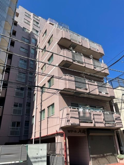 【外観】セザール川崎  