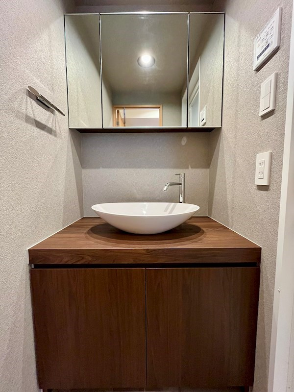 RESIDIA御茶ノ水の洗面所|三面鏡付ハンドシャワー付独立洗面室