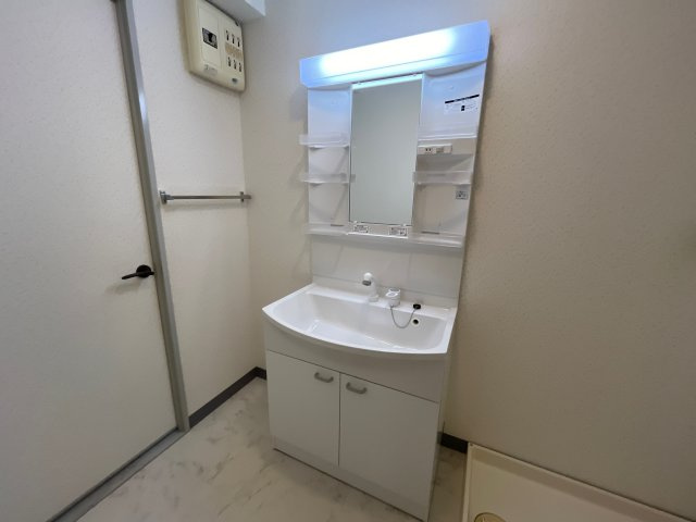 メゾン城南の洗面所