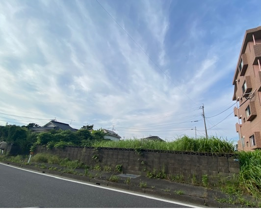 国道10号線から撮影