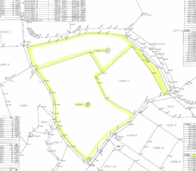 【区画図】 | 値下げ！荒平町　売地（うめ畑）アパート用地や分譲用地に(^^♪ | 山林と畑の合計２筆です。それぞれ残置を予定しているため、有効面積はあわせて約645坪になります。