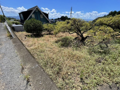 【外観】 | 値下げ！荒平町　売地（うめ畑）アパート用地や分譲用地に(^^♪