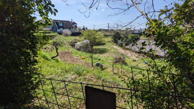 【周辺】 | 値下げ！荒平町　売地（うめ畑）アパート用地や分譲用地に(^^♪