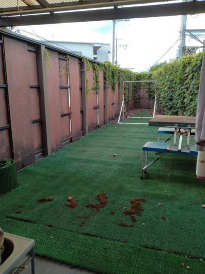 【その他】 | S21679-修学院第二