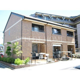 DANDELION Bの画像