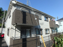 Axis(アクシス)の画像