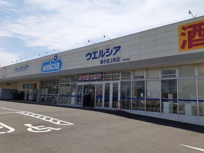 【周辺】 | アリエッタ | ウエルシアまで430m