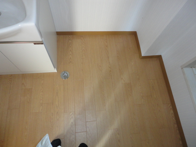 メゾンタカAの洗面所